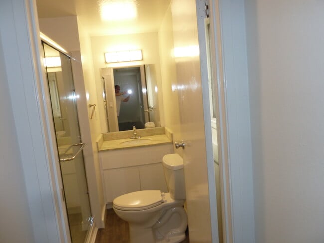 Remodeled Bathroom, New Quartz Shower, Flooring, Paint, etc - 756 Green Ave