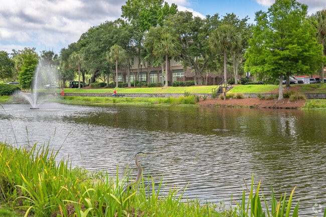 Lifestyle photo of Downtown Daniel Island at Guggenheim Terrace with a Great Blue Heron and an alligator swimming by.