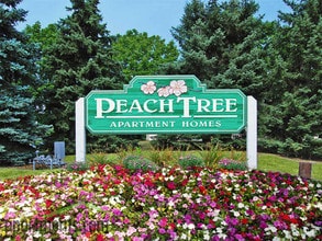 Peachtree Apartments photo'