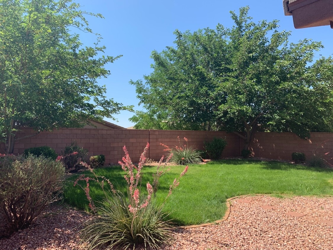 Building Photo - Coral Canyon Home