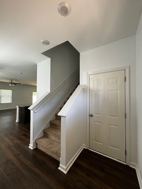 Foto del edificio - 240 Chelsea Park Rd