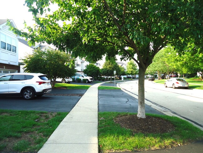 Building Photo - 250 S Oak Creek Ln
