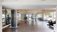 Located at 221 Plus Park Blvd in Nashville, Tennessee, this well-appointed fitness center offers a comprehensive workout environment across a single open floor. The space is characterized by soaring vaulted ceilings fitted with skylights and recessed lighting, creating a bright and airy atmosphere that is further enhanced by large windows overlooking the surrounding outdoor scenery. A ceiling fan provides additional ventilation and comfort throughout the workout area.

The fitness center is thoughtfully divided into distinct zones for both strength training and cardiovascular exercise. The strength training area features a multi-station cable machine, a functional trainer, various weight machines, and a well-stocked dumbbell rack, catering to a wide range of resistance training needs. Full-length mirrors line the walls, visually expanding the space while allowing users to monitor their form. The cardio section houses multiple treadmills and elliptical machines neatly arranged along the windowed wall, providing natural light and outdoor views during workouts.

Durable dark flooring runs throughout, offering both practicality and a clean, modern aesthetic. Exposed brick accents on select walls add a warm, textural contrast to the otherwise neutral palette. The space is accessible via French-style glass doors, contributing to its open and welcoming character. Overall, this fitness center is a fully equipped and well-designed facility suited for a complete workout regimen.