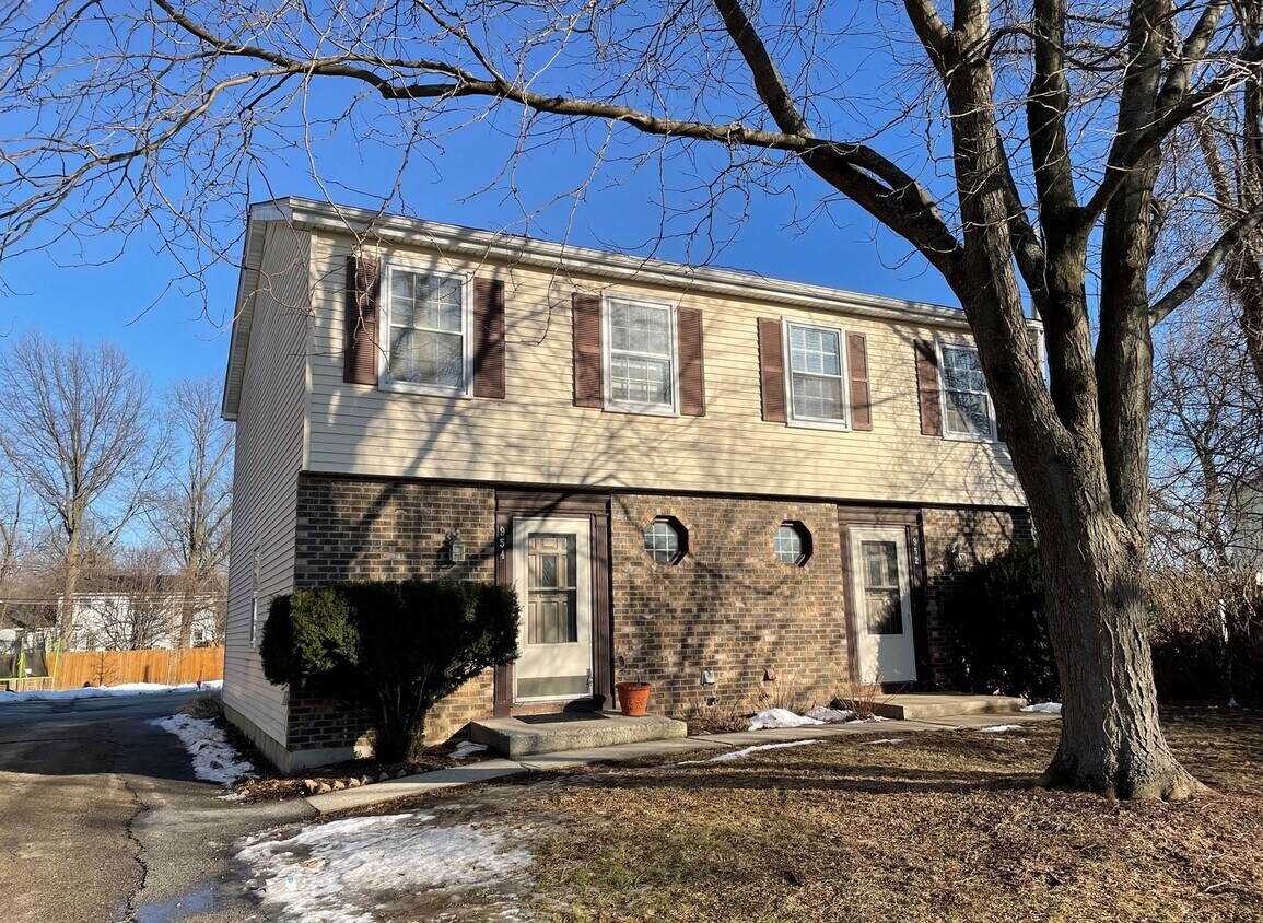954 N Brainard St, Naperville, IL 60563 Townhouse for Rent in