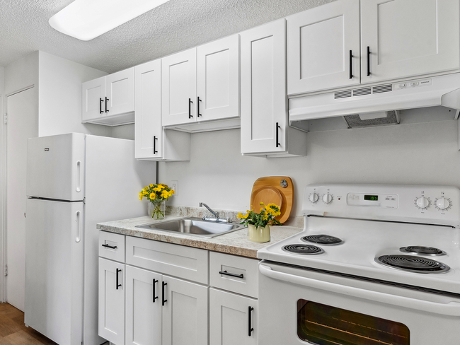 Rainier Garden One Bedroom - Rainier Gardens Aparments