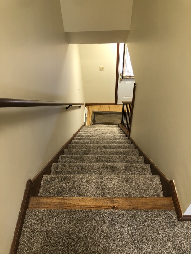 Stair way - 281 Mulberry Ave