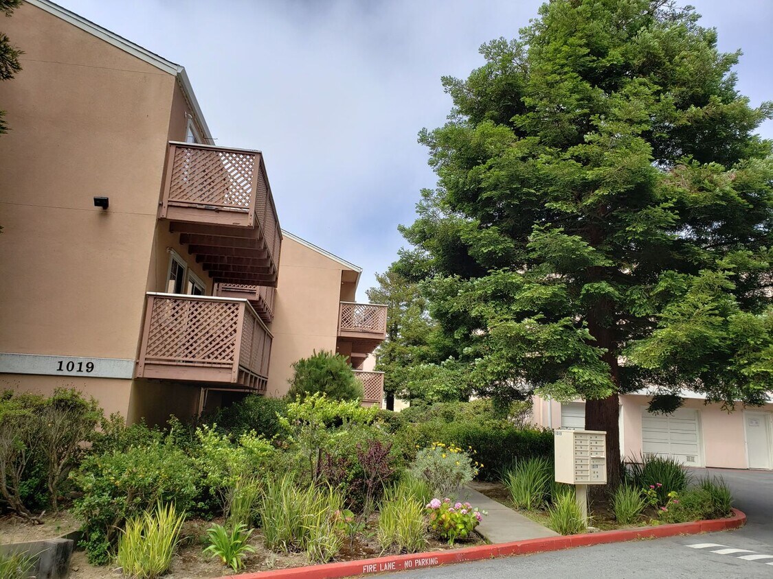 Primary Photo - DISCOUNTED Spacious Top Floor 1-Bedroom Co...