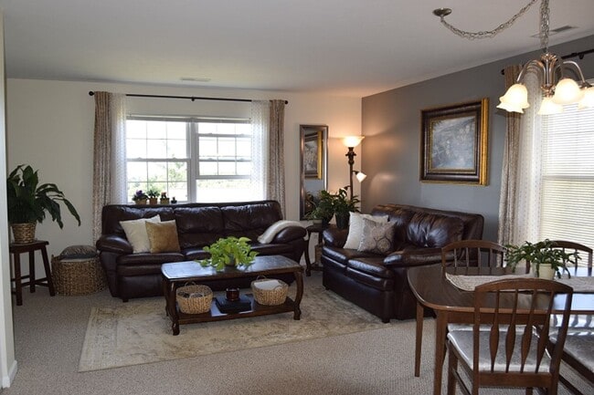 Interior Photo - Shadow Pines