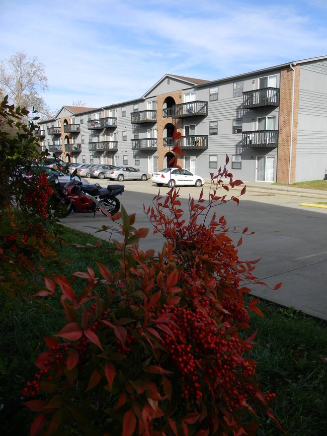 Mountain Valley Properties Carbondale Apartments in Carbondale, IL