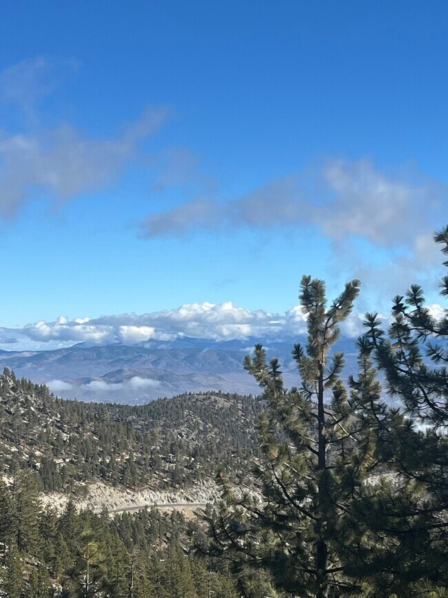 Foto del edificio - 264 Quaking Aspen Ln