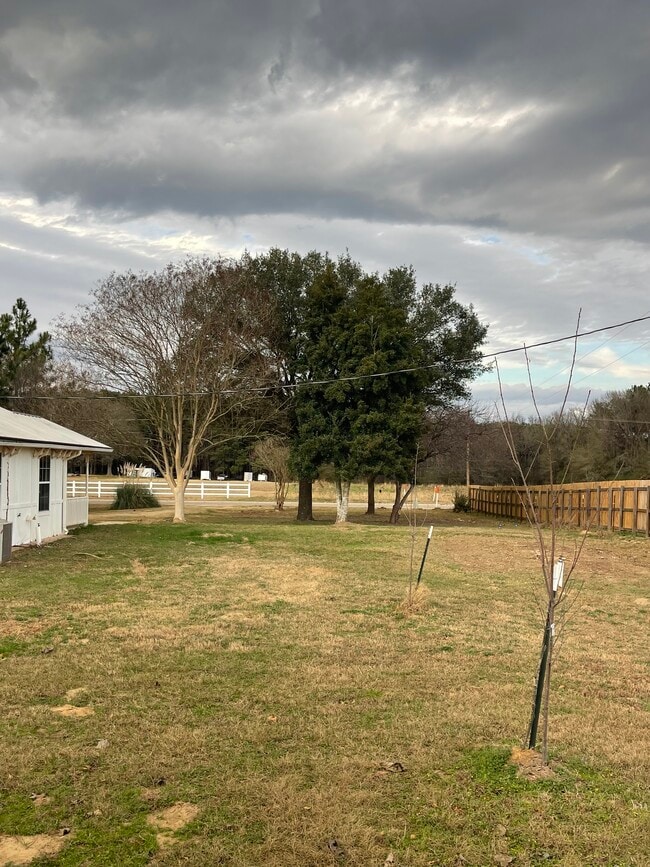 Building Photo - 594 FM 21