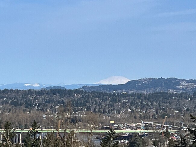 Mt. St. Helens - 129 Ogden Dr