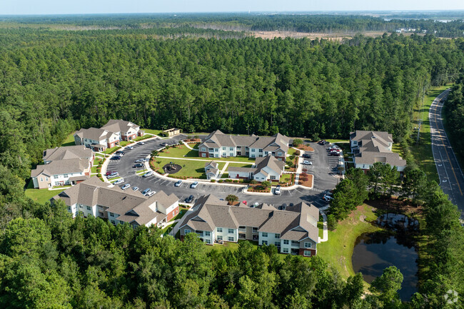 Aerial Photo - Egret Pointe