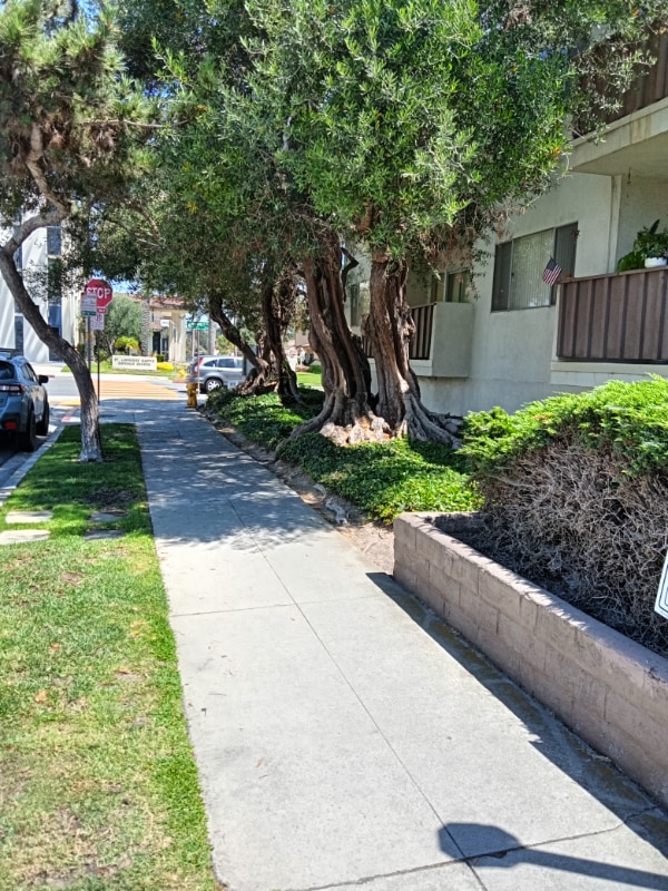 Primary Photo - 530 Avenue G