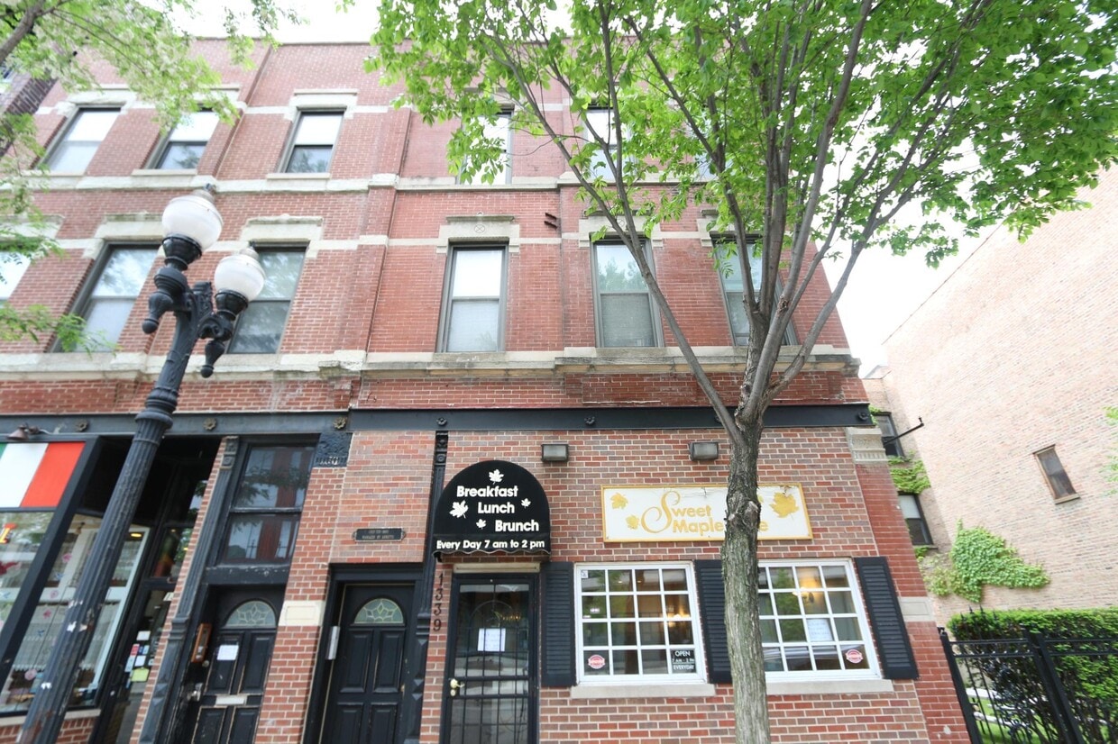 1339 W Taylor St Unit 3, Chicago, IL 60607 Apartments in Chicago, IL