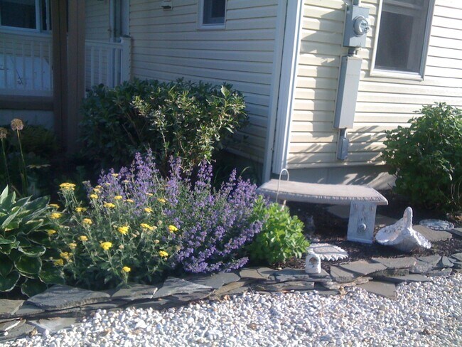 Foto del edificio - 401 New Jersey Ave