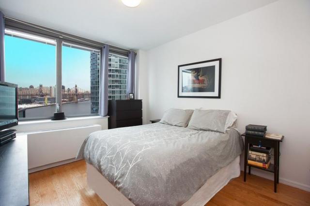 Foto del edificio - 1 bedroom in LONG ISLAND CITY NY 11109