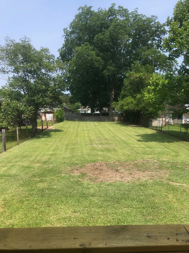 backyard - 130 Kenwood Ave