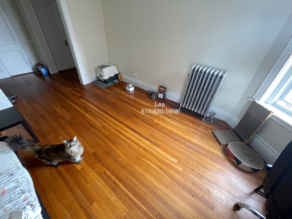 Primary Photo - NO FEE***SEPT Incredible 1bed in Allston! ...
