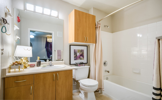 Baño - Gateway at Denton - Student Living