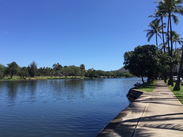 Building Photo - 2415 Ala Wai Blvd