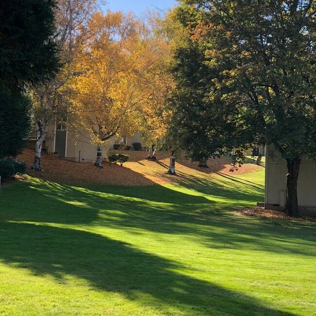 Photo - St. Johns 1 bedroom 1 bath in park-like setting. Apartment