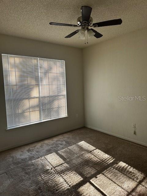 Foto del edificio - 13016 Mulberry Park Dr