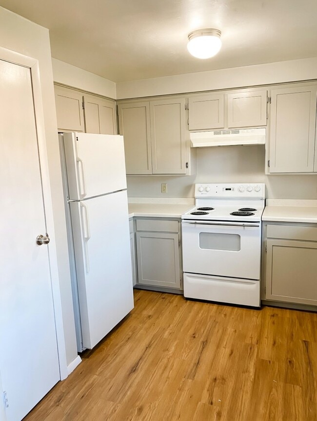 Foto del edificio - 1619 Beech Tree Dr