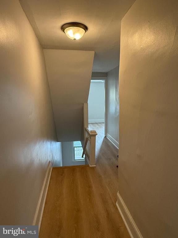 Building Photo - 1235 Maple St