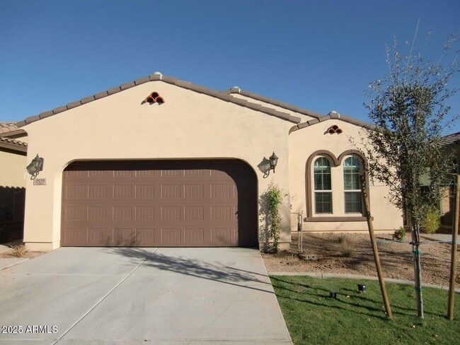 Building Photo - 3535 S Jasmine Dr