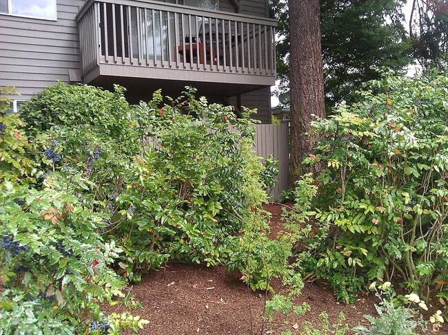 Building Photo - Hidden Gem in Northeast Seattle w/ In-Unit Washer/Dryer!