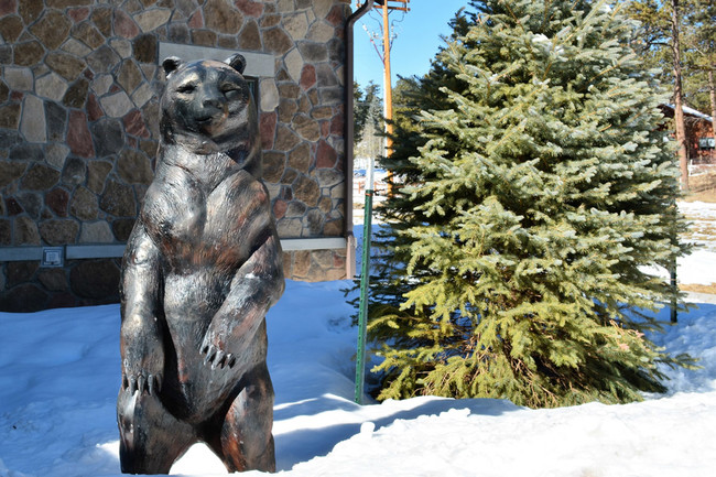 Foto del edificio - Trail Ridge at Woodland Park