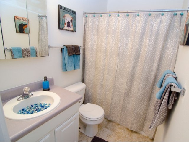 Bathroom Style in apt. (picture from sample) - 4905 Dunckel Rd