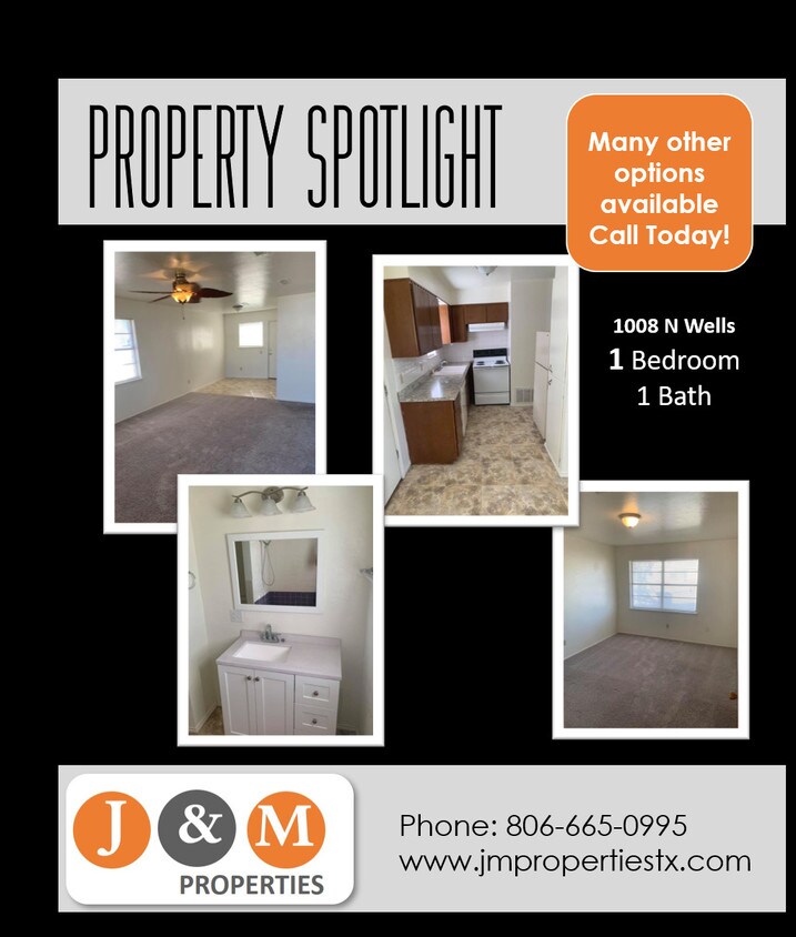 Foto principal - 1008 N Wells St