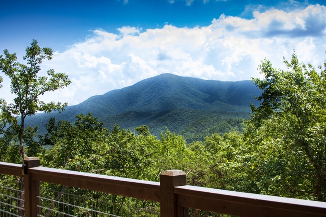 Foto del edificio - 4227 Round Top Way