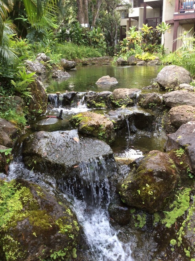 Primary Photo - Puu Alii 2412