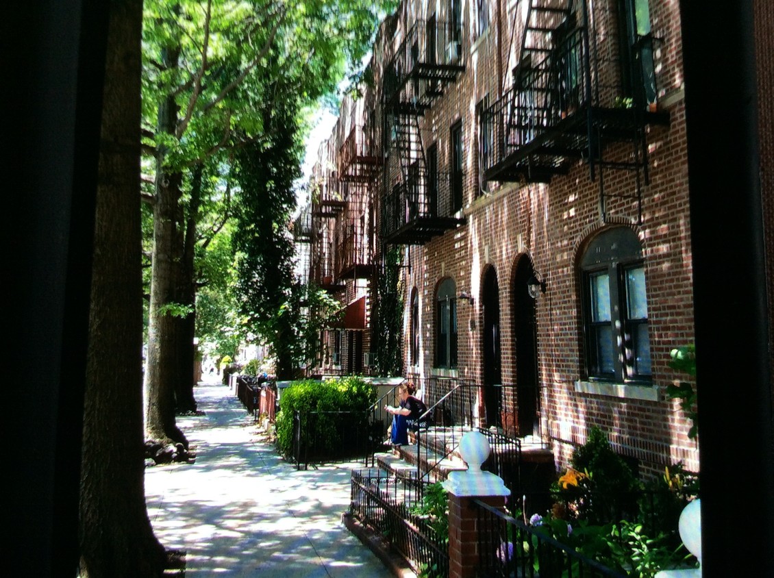 Primary Photo - 561 80th St