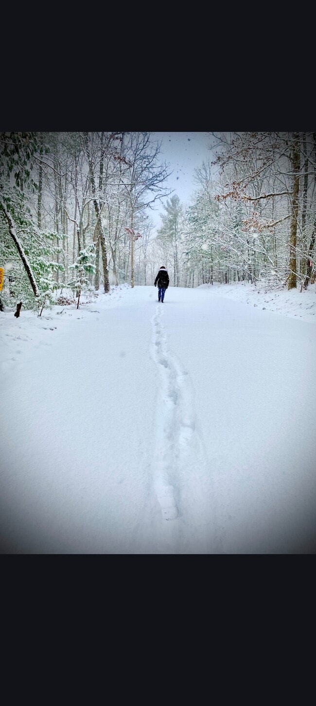 Foto del edificio - 227 Seminole Rd