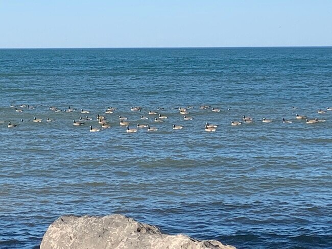 Foto del edificio - 6588 Shore Acres Dr