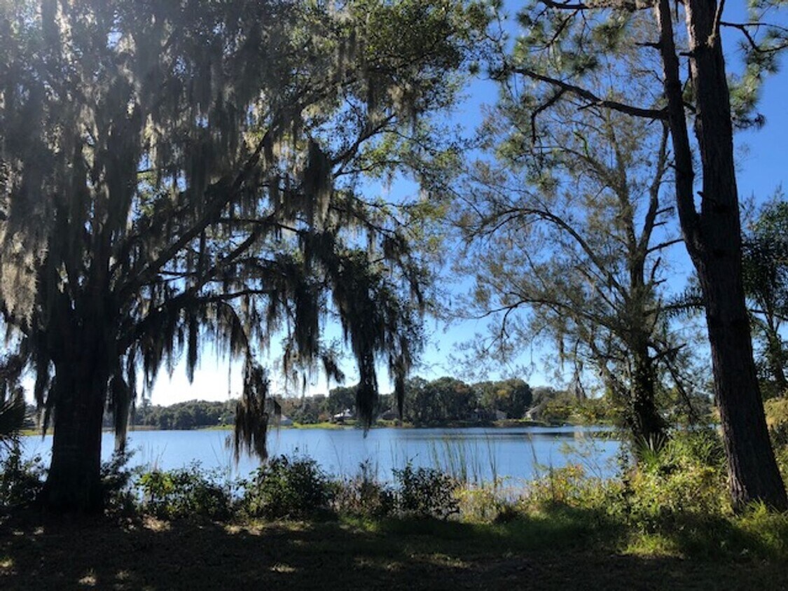 Primary Photo - Quaint Deland lakefront home - Available 4...