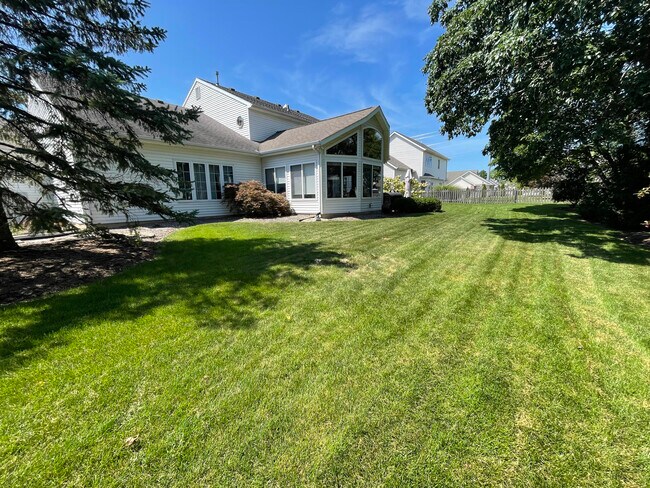 Backyard - 10526 Willow Creek Dr