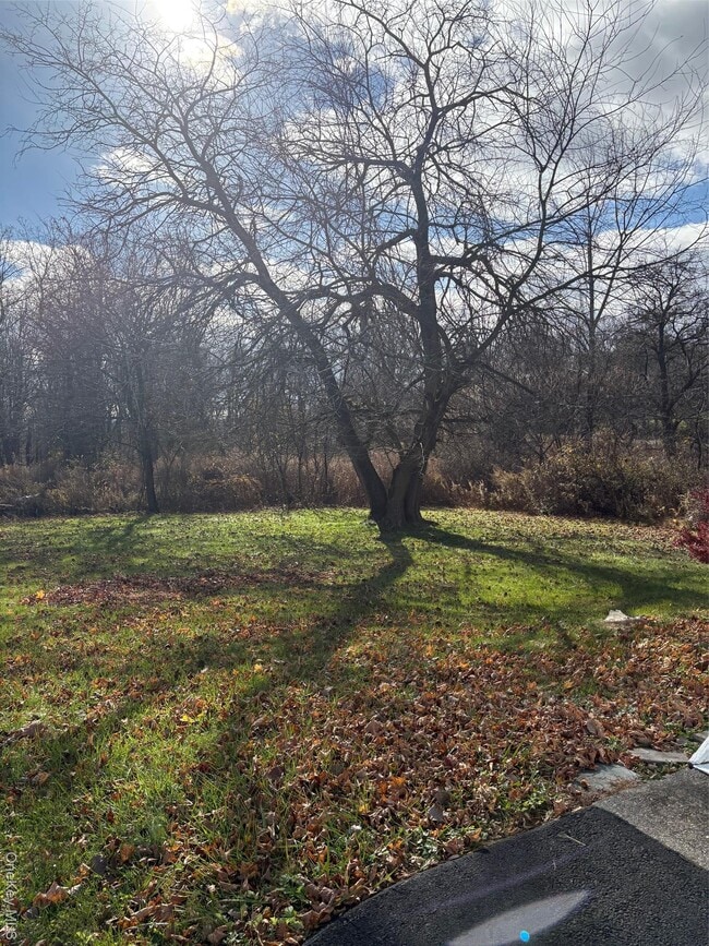 Building Photo - 58-60-60 Ridge Rd