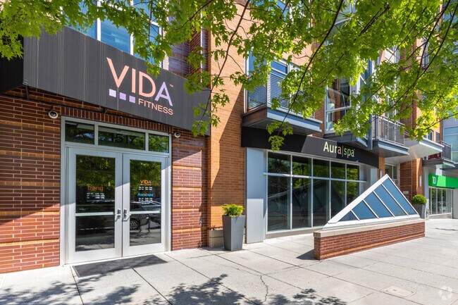 Minorista - Metropole