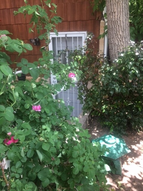 Nivel del jardín - 2010 Meyers Ave
