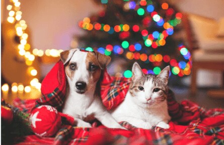 Building Photo - Millennium Edina