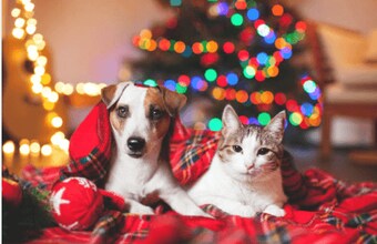 Building Photo - Arlo West End