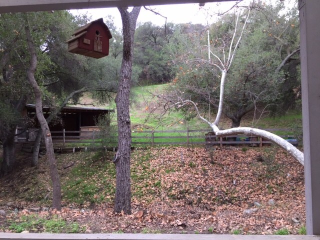 Foto del edificio - 24735 Mulholland Hwy