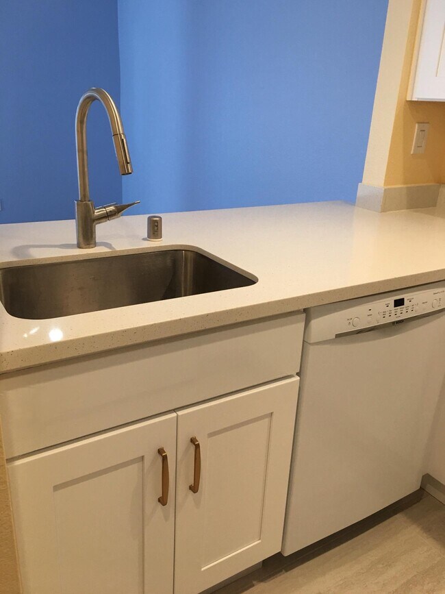 Energy efficient Bosch dishwasher, Hansgrohe faucet and sink - 5318 Borneo Cir