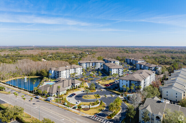 Aerial - The Oasis at Highwoods Preserve