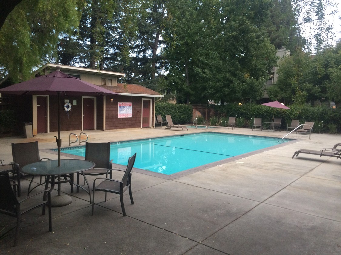 Pool/Spa area - 3835 Panda Dr